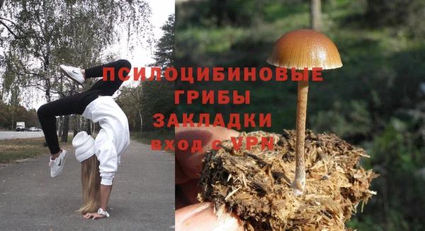 прущая мука Балахна