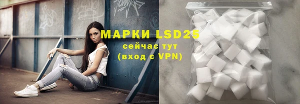 прущие грибы Нея