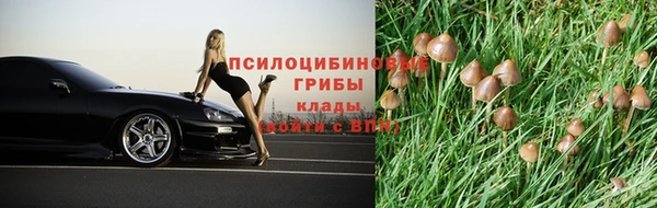 apvp Баксан